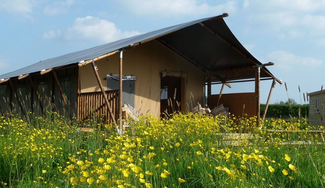 PIPPIN LODGE, pet friendly, with open fire in Glastonbury