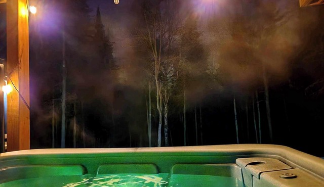 Piscine/spa/billard et Plein air