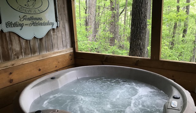 Pisgah Paws Pet-Friendly Cabin with Hot Tub & Forest Views