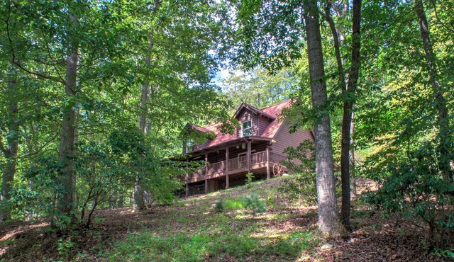 Pisgah Pines | Cozy Log Cabin w/Hot Tub & Fire Pit Near Asheville Airport