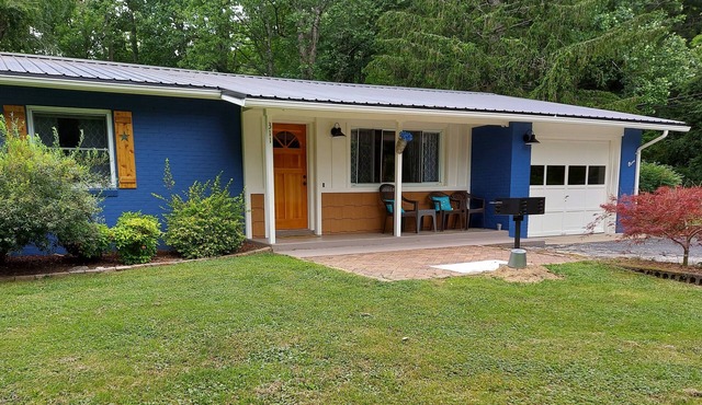 Pisgah Shadows Cottage - Hot Tub - Grill - Fireplace - WiFi - Pets OK
