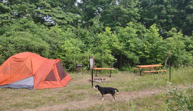 Pitch a Tent or Park a 20 ft or Smaller Camper at Camp Peace Hocking Hills