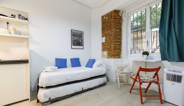 (PIZ401) Cozy Studio in the Center of Madrid