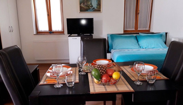 Plitvice Lakes Studio apartment with great mountain view