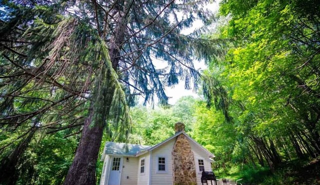 Place in the Pines - Mountain Escape for 2