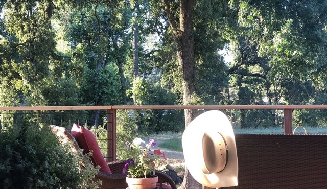 Placer Wine Trail- Country Vineyard Retreat