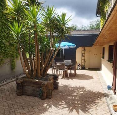 Plain-pied T1 patio et jardin