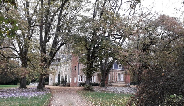 Plaisant family castle in 8 ha garden (9 Rooms, 6 baths)