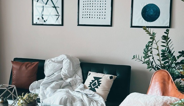 Plant Lover’s Bachelor Pad