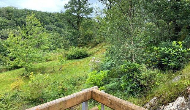 Plas Penaeldroch Manor