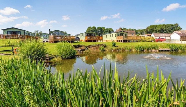 Platinum Caravan (Pet)