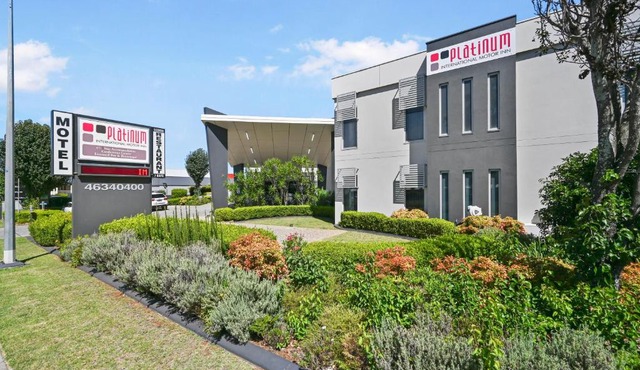 Platinum International