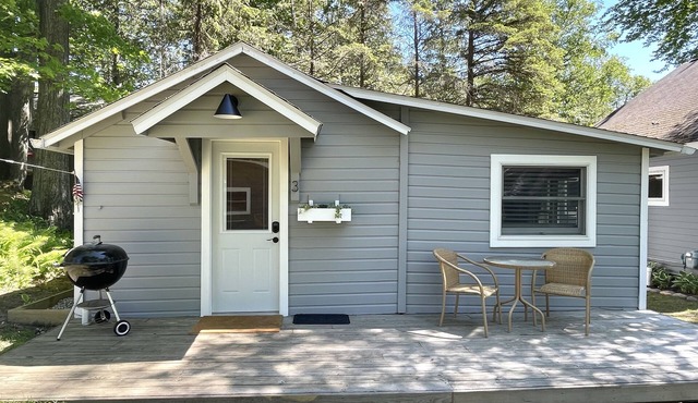 Platte Lake Waterfront Cottage with beach and swimming dock