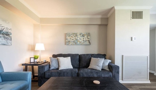 Plaza One Bedroom w/Pool&Parking