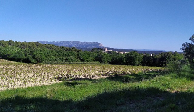 Pleasant 2-bedroom apartment with garden/pool, near Aix-en-Provence