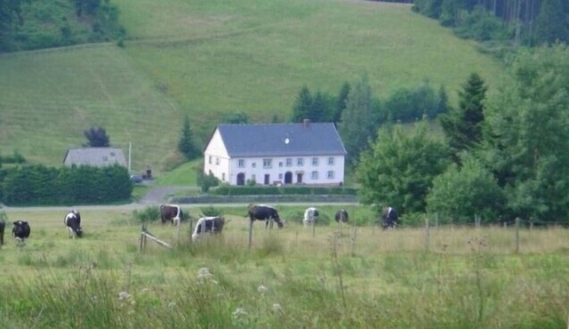 PLEASANT 8-PERSON APARTMENT IN A QUIET NATURAL SETTING NEAR LAC BLANC 900