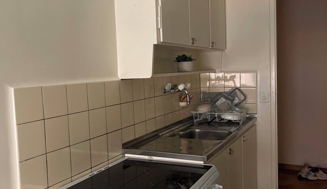 Pleasant apartment in the center of Geneva. Close to lake, station and amenities