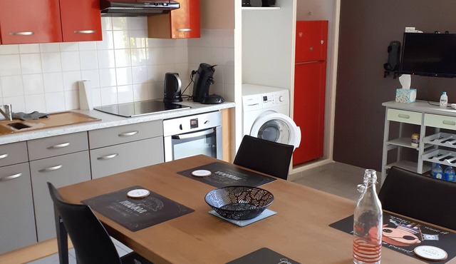 Pleasant apartment with garden level