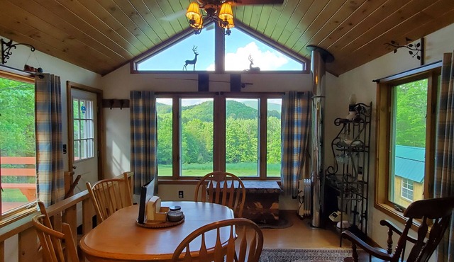 "Pleasant Brook Cottage" near Roxbury Village - Woods, Streams, Wi-fi, sleeps 6