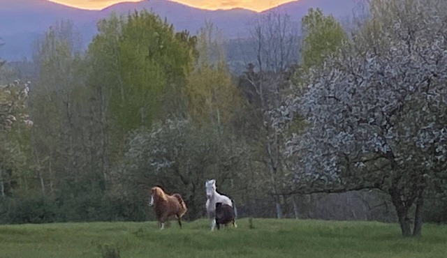 Pleasant campground retreat in Wadhams perfect for outdoor lovers