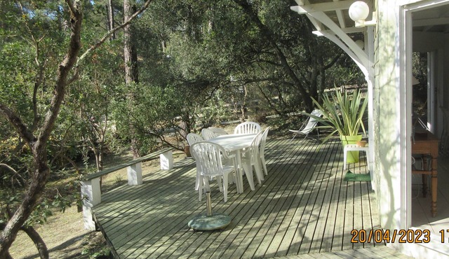 Pleasant chalet between lake, forest and ocean.