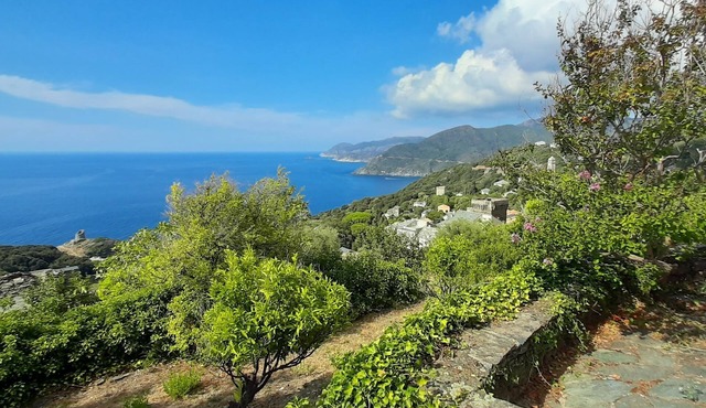 Pleasant family home in Pino