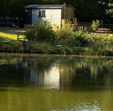 Pleasant Shepherd Hut