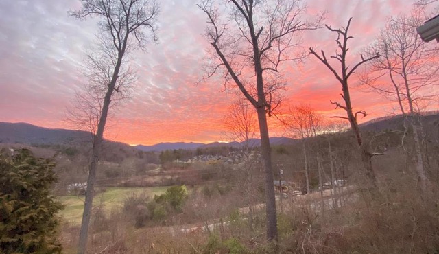 Pleasant Grove Cottages - Misty Mtn (#113)/Lazy Bear (#115)