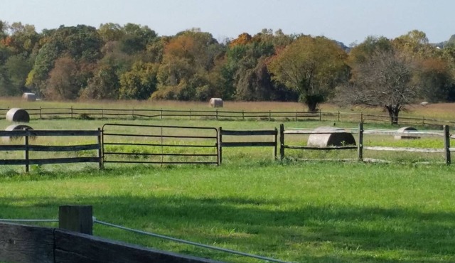 Pleasant Hills Farm Stargazer Farmstay