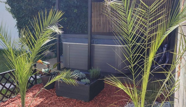 Pleasant house with spa