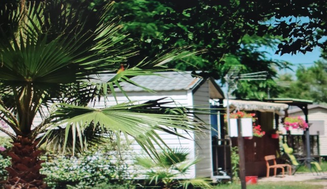 Pleasant mobile home in a campsite