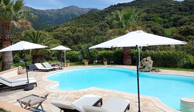 Pleasant new studio with swimming pool near Ajaccio and Porticcio