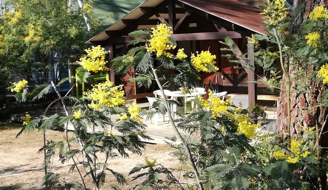 Pleasant Tourterelle chalet in a heavenly site