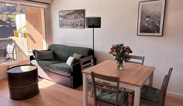 Pleasant two-room apartment in the heart of Thônes