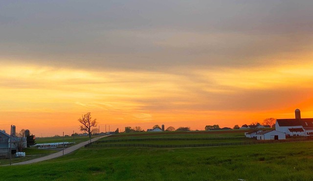 Pleasant View Guest Suite in central Lancaster Co!