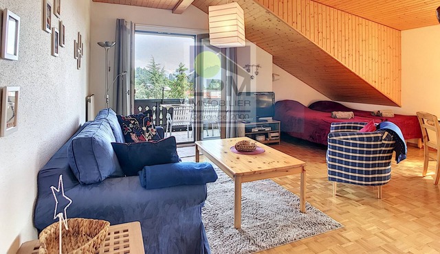 Plein Ciel A10 Spacious 38m2 studio apartment for up to 4 people (2 adults and 2 children), close to