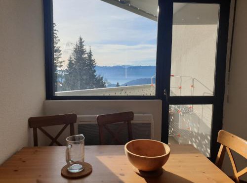 Plein Ciel sur les pistes 40m2 - 2 chambres