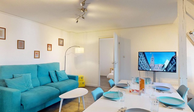 pleyel 60m2 city center 2br