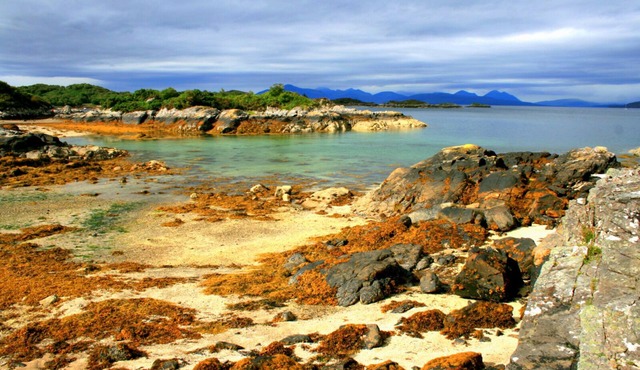 Plockton; near Skye, Sea-side Super Place, 3bed, home office, WiFi, Fab Garden!