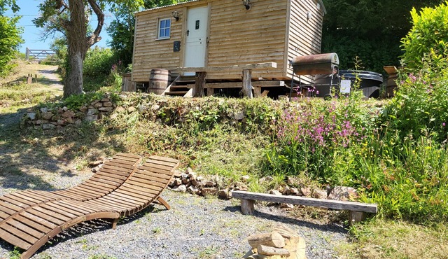 Plum Hut, romantic shepherd hut retreat with log burner, hot tub, pet friendly!