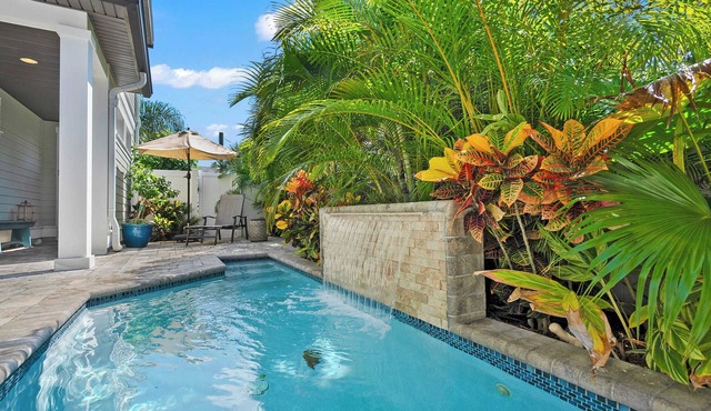 Plunge Pool, Pack N Play, BBQ, Walk Downtown