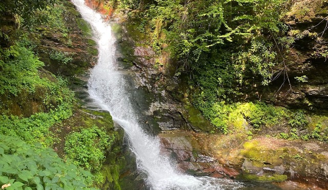 Poconos townhouse w/fire place, gameroom & deck (sleeps up to 16 &Pet-friendly)