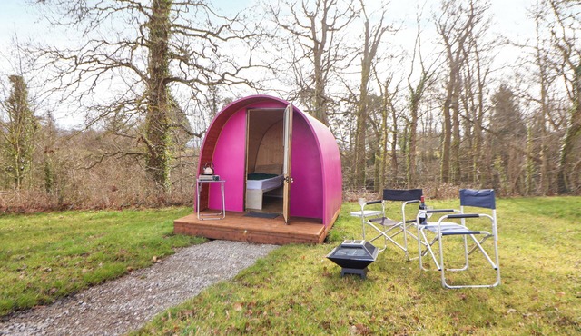 POD 2, pet friendly, country holiday cottage in St Asaph