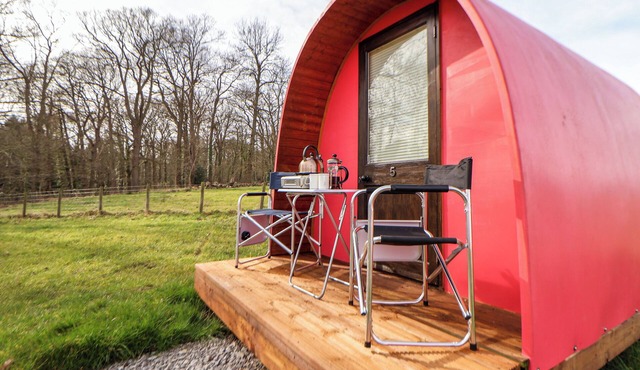 POD 5, pet friendly, country holiday cottage in St Asaph