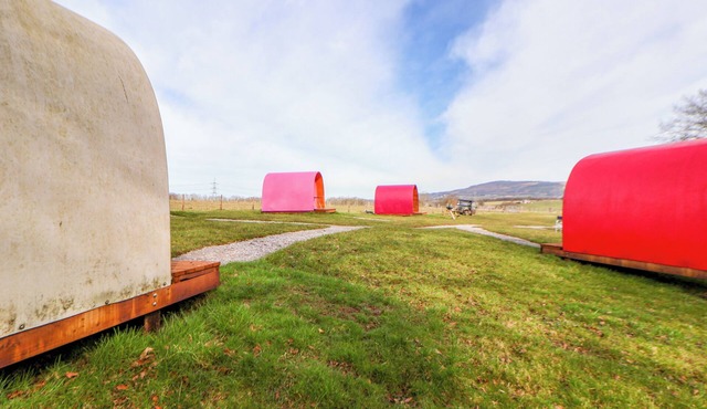 POD 6, pet friendly, country holiday cottage in St Asaph