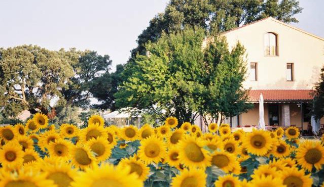 Podere Le Querce in Roccastrada