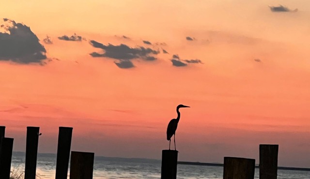 "Point of View" Waterfront cottage with panoramic views on Tilghman Island