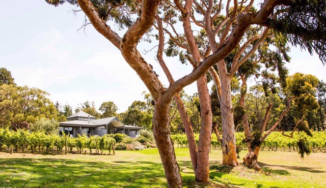 Polperro Winery Villas - Villa 2