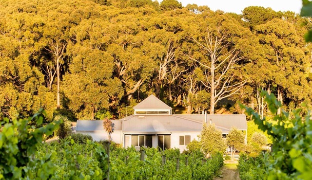 Polperro Winery Villas - Villa 3