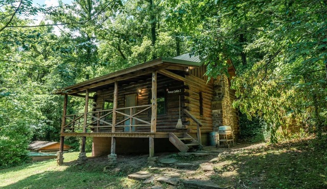 Ponca Cabin 2 - Cozy Cabin in the Heart of Ponca